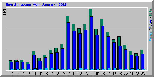 Hourly usage for January 2016