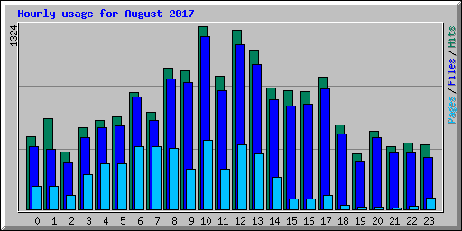 Hourly usage for August 2017